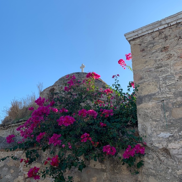 Meet your Posher, Popy - Picture 1 of 1